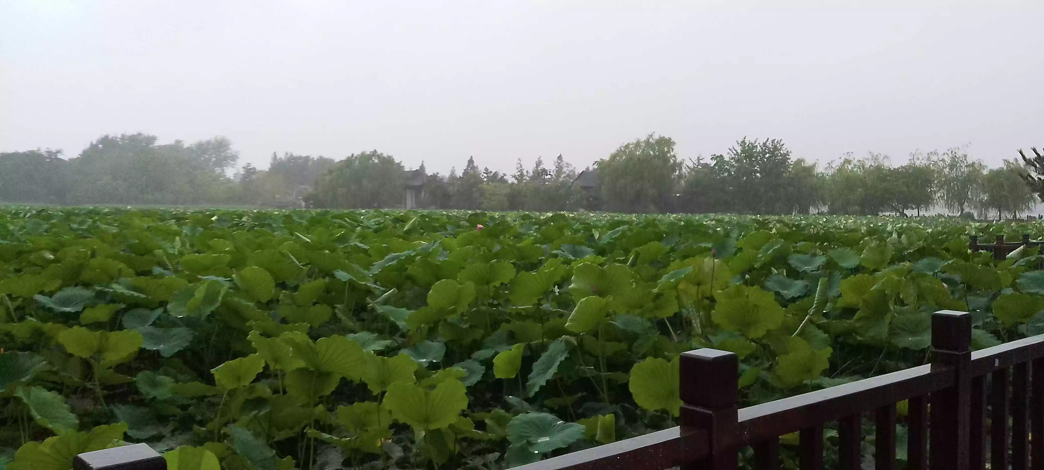 抬头，浮华圣殿；低头，沧桑人间